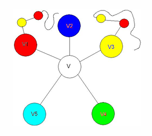 image-20250106184606381