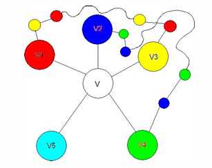 image-20250106185019264