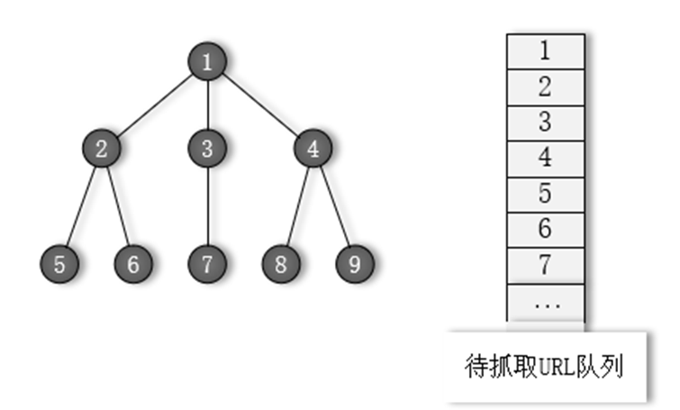 image-20241024125543558