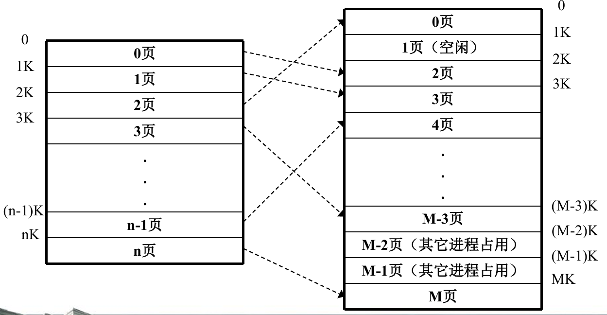 image-20241029195523122