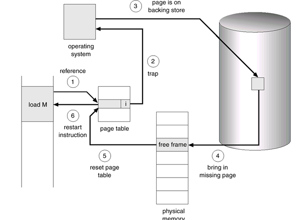 image-20241107111808996